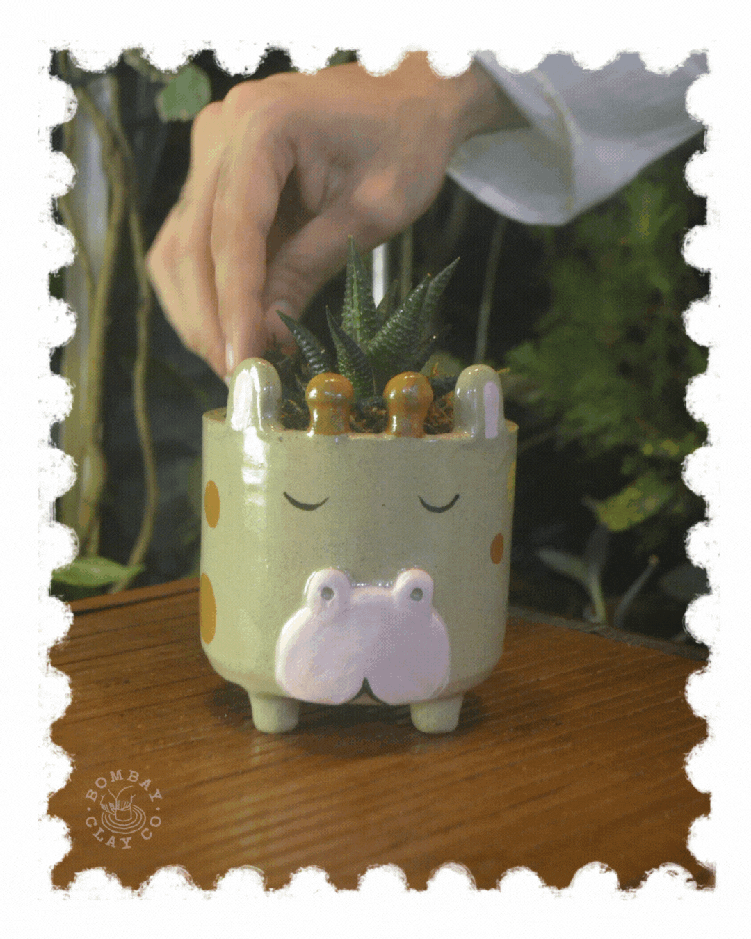 Animal Planter | Sanctuary | Giraffe |