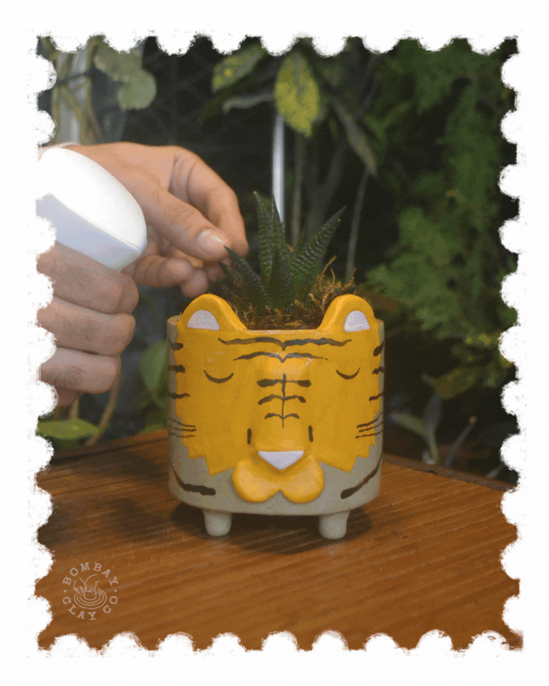 Animal Planter | Sanctuary | Tiger |